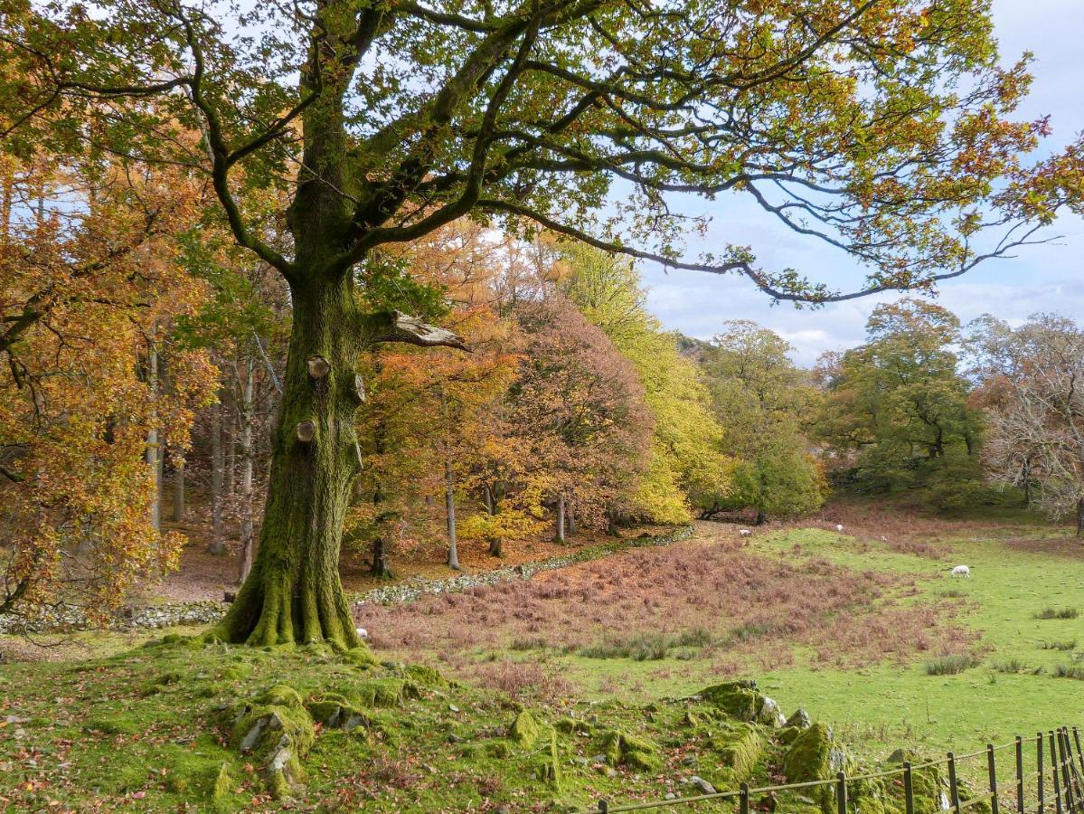 Cherry - Woodland Cottages Bowness-on-Windermere Exteriör bild